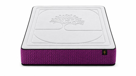 Colchón Viscoelástico LIFE TREE 25 cm de Altura | Adaptabilidad y Máximo Confort